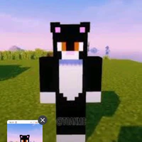 Toànmc