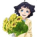 Uzumaki Himawari