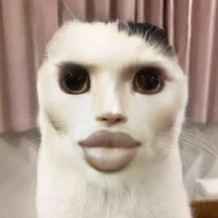 NVP