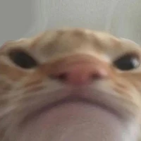 Nhận vật tùm lum 