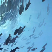 Supporting character