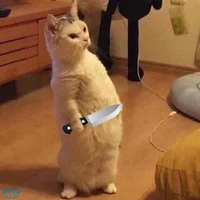 vai nào tao cũng chấp!!!