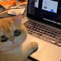 Author nèee