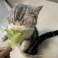 xinh đẹp ở mọi nơi[ bbinma.soxingg]