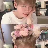 Nguyễn Hữu Đạt ( Phượng hoàng lỏ )