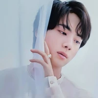Kim Seokjin - Anh