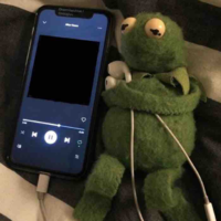 Y/n