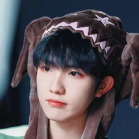 Tô Tân Hạo • Mèo •