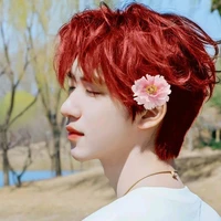 Hạ Tuấn Lâm