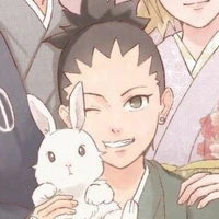 Nara Shikadai
