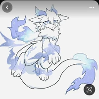 Yumi[thú cưng Samoyed]