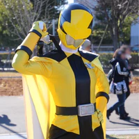 Lupin Yellow