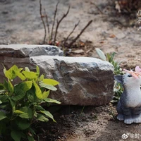 Tác giả đây