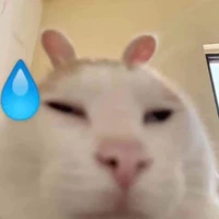 dp chai số 1 tg