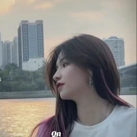 diệp thư kỳ