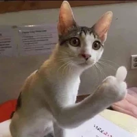 người viết ra cái 👇🏻