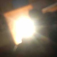 Tg: Nhi trầm tính