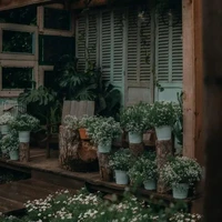 nhân vật quần chúng