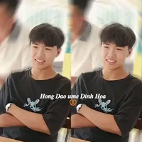 Phạm Đình Hoà