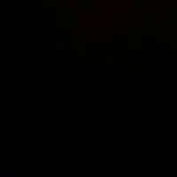 All (trừ vài người)