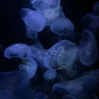Bí ẩn