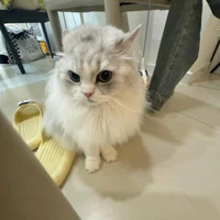 T/g lườiiiii