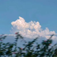 Nhân vật bí ẩn