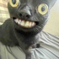 Pé:3
