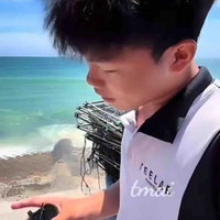 Thanh Nhã 