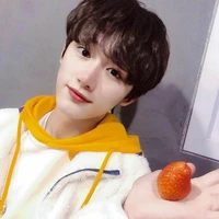 Đinh Trình Hâm