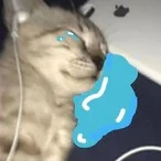 all
