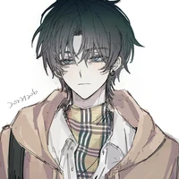 Hệ thống 3095 - Saichi