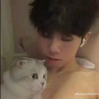 Hữu Đạt | SGP Phoenix