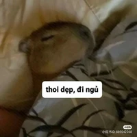 yn