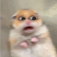Người wa đường