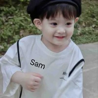 Dịch Dương Hoàng Anh - sam