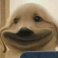 Chồng của các bé đây 