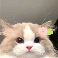 tác giả mê Esports và Lck