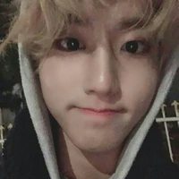 han.cutii