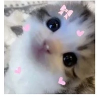 Tác giảa (LƯỜI)