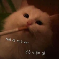 NV phụ