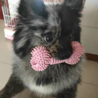 Tác giả