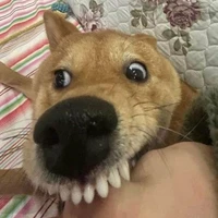 TG Lâm Lâm