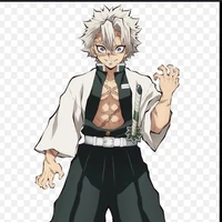 Shinazugawa Sanemi