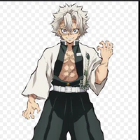 Shinazugawa Sanemi