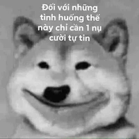 Tác giả