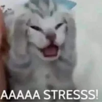 tác giả đẹp trai