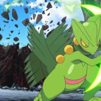 Sceptile_Shota