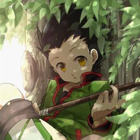 Gon Freecss
