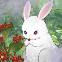 Carnet (Bunny)